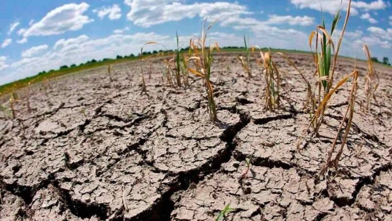 ONU ALERTA QUE ‘EL NIÑO’ AUMENTA LA INSEGURIDAD ALIMENTARIA EN AMÉRICA LATINA Y EL CARIBE