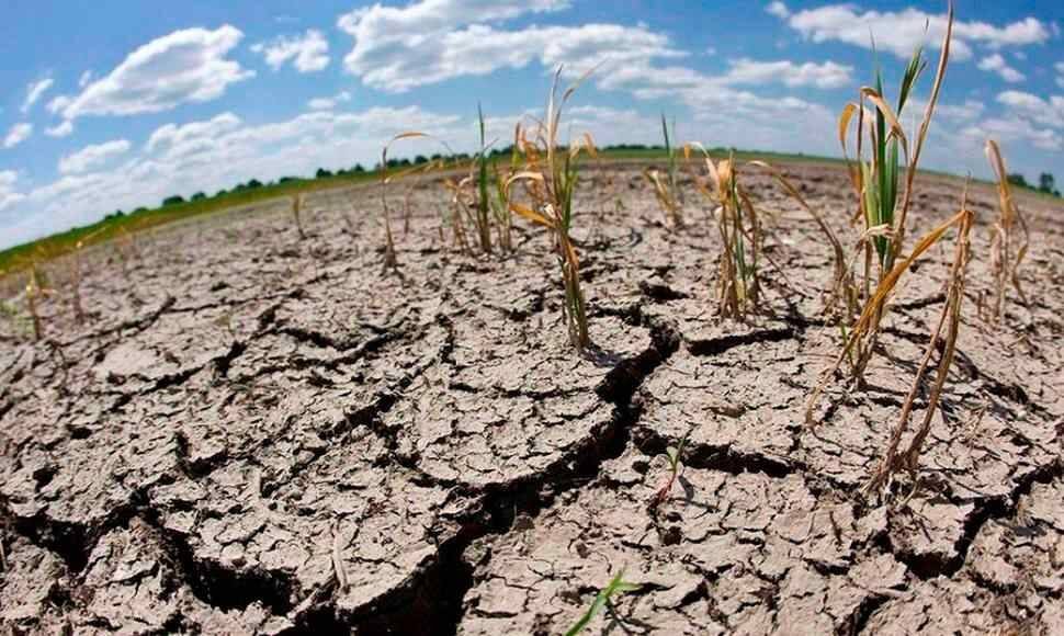 ONU ALERTA QUE ‘EL NIÑO’ AUMENTA LA INSEGURIDAD ALIMENTARIA EN AMÉRICA LATINA Y EL CARIBE