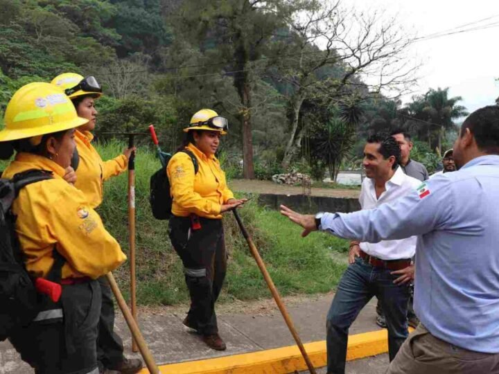 ORIZABA REFUERZA LA PREVENCIÓN DE INCENDIOS CON APERTURA DE BRECHAS CORTAFUEGO EN EL CERRO DE ESCAMELA