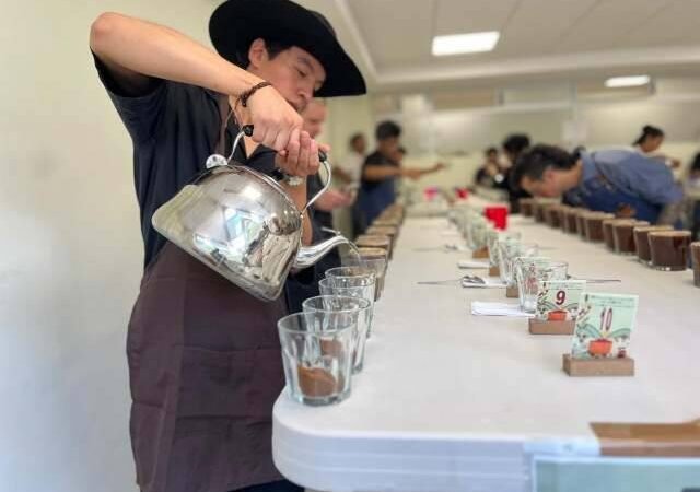 CONCLUYE FASE DE PRESELECCIÓN DE TAZA DE EXCELENCIA 2026