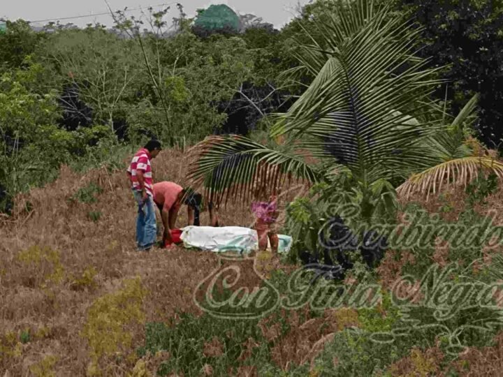 MUJER SE ESTRELLA CONTRA ÁRBOL Y MUERE