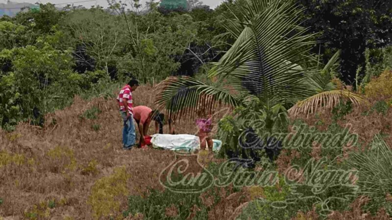 MUJER SE ESTRELLA CONTRA ÁRBOL Y MUERE