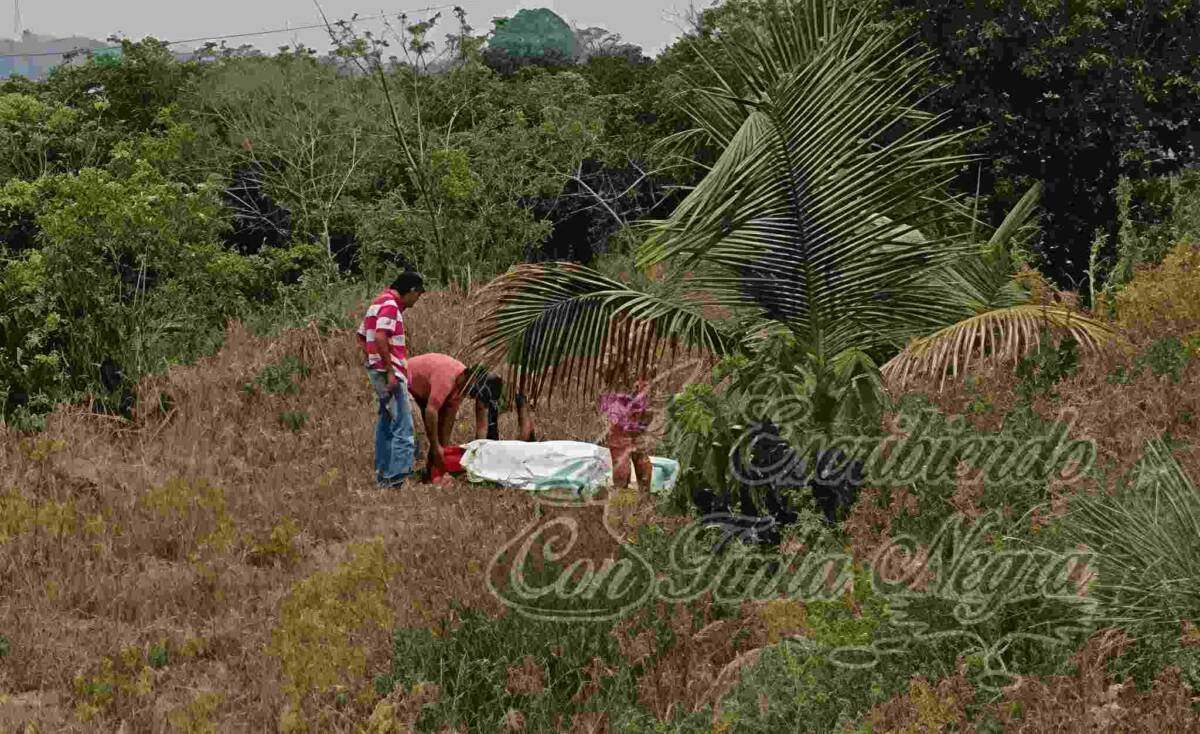 MUJER SE ESTRELLA CONTRA ÁRBOL Y MUERE