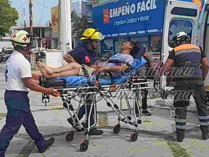 ASESINÓ A AUTODEFENSAS; LO DESCUBRE UNA SERPIENTE