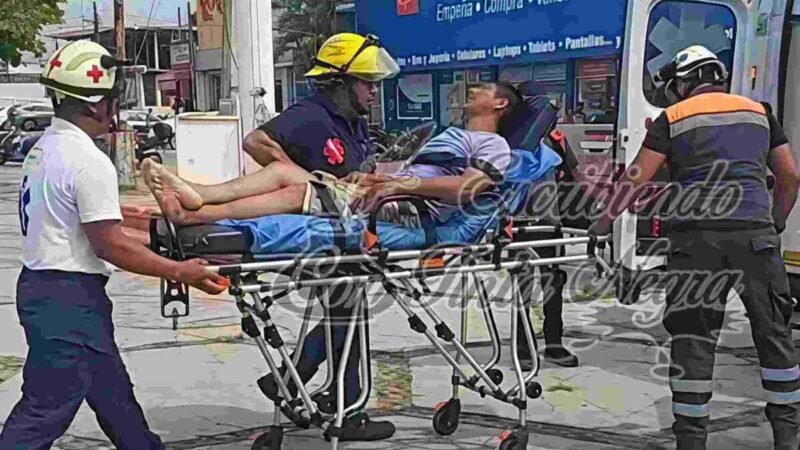 ASESINÓ A AUTODEFENSAS; LO DESCUBRE UNA SERPIENTE