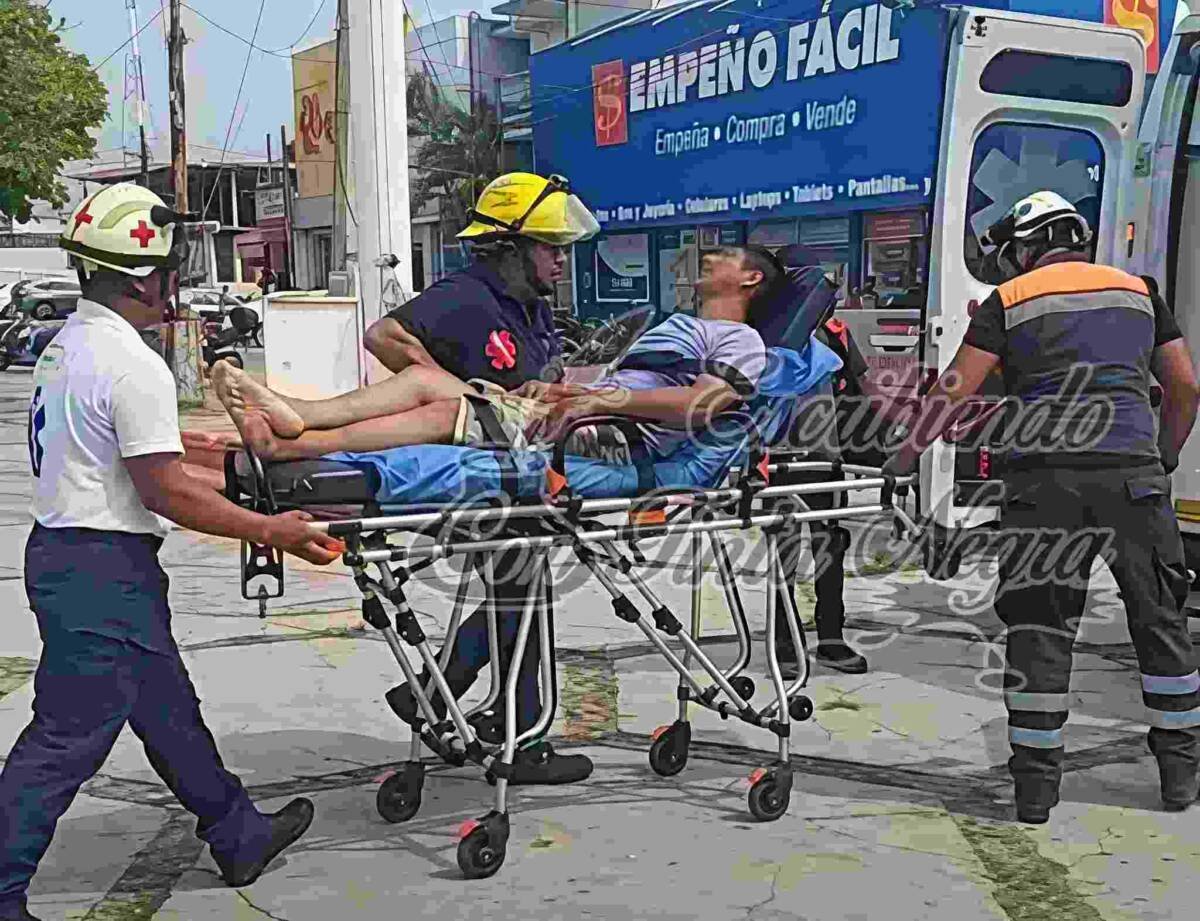 ASESINÓ A AUTODEFENSAS; LO DESCUBRE UNA SERPIENTE