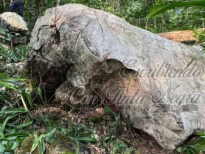 MUERE APLASTADO POR UNA ROCA