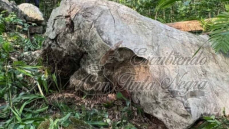 MUERE APLASTADO POR UNA ROCA