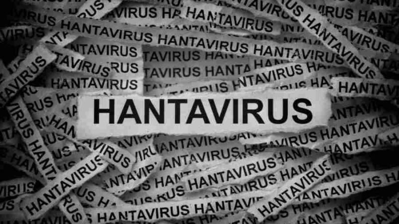 ANUNCIAN TRABAJOS PARA DESARROLLAR UNA VACUNA CONTRA EL HANTAVIRUS