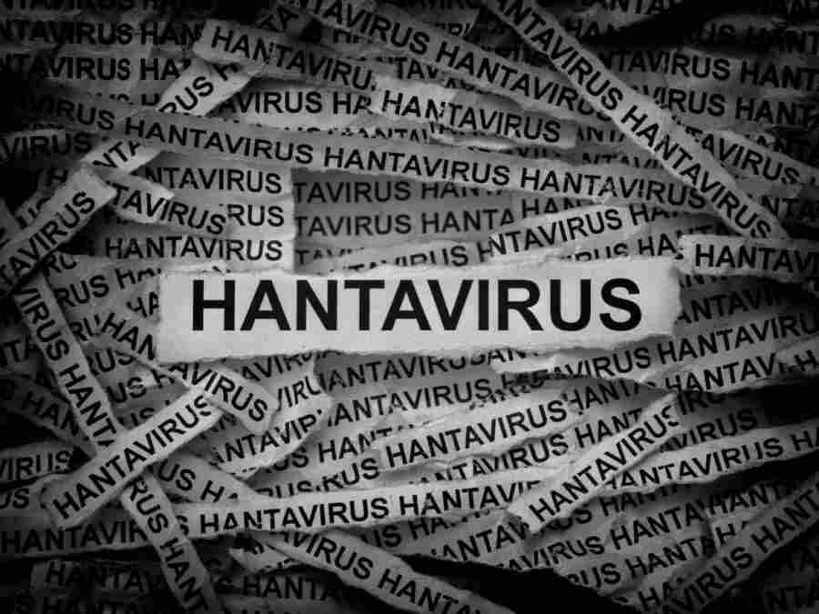 ANUNCIAN TRABAJOS PARA DESARROLLAR UNA VACUNA CONTRA EL HANTAVIRUS