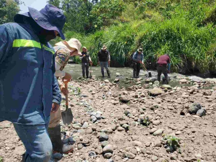 RETIRAN 35 TONELADAS DE RESIDUOS DEL RÍO BLANCO EN JORNADA DE LIMPIEZA EN ORIZABA