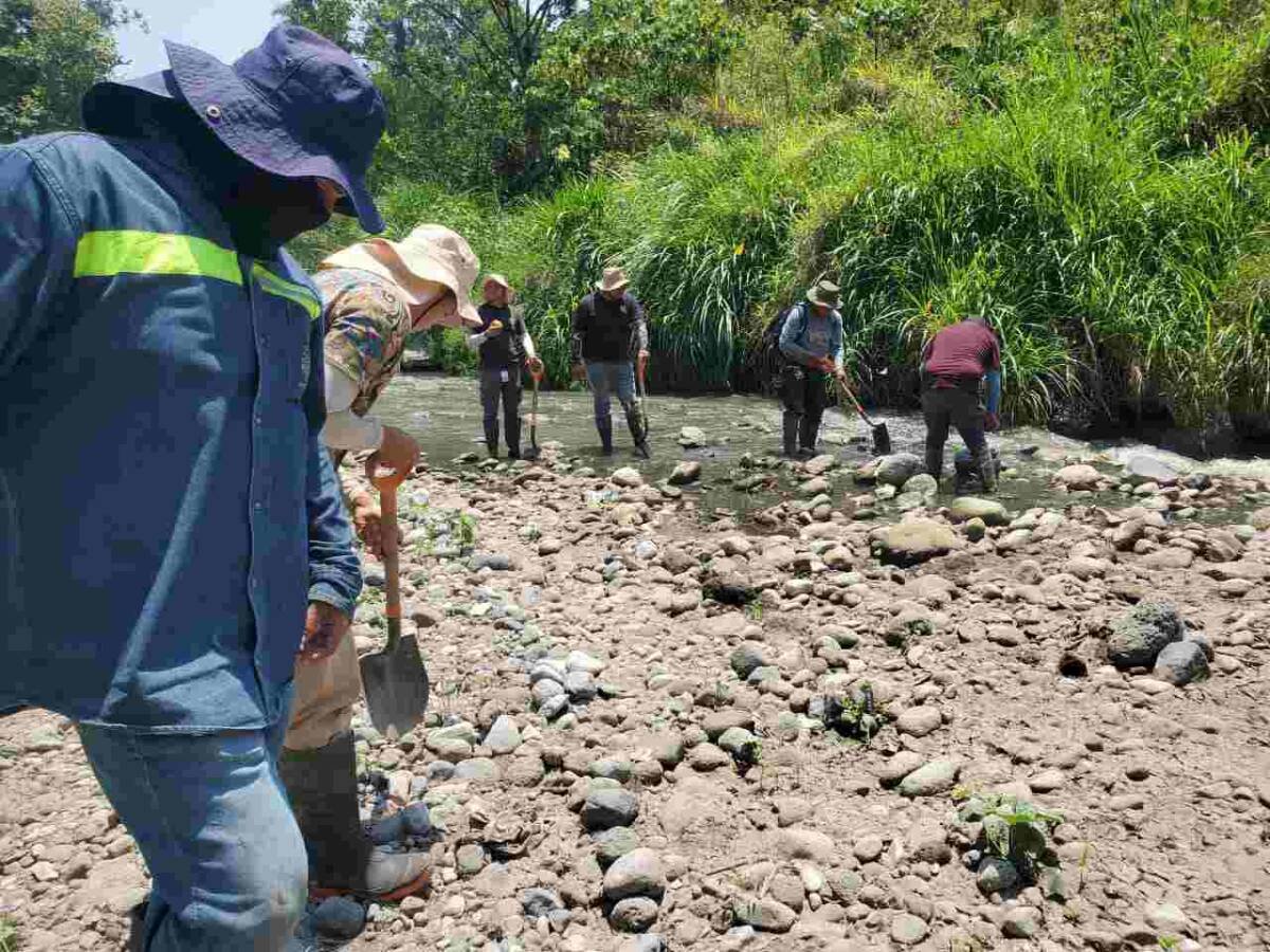 RETIRAN 35 TONELADAS DE RESIDUOS DEL RÍO BLANCO EN JORNADA DE LIMPIEZA EN ORIZABA