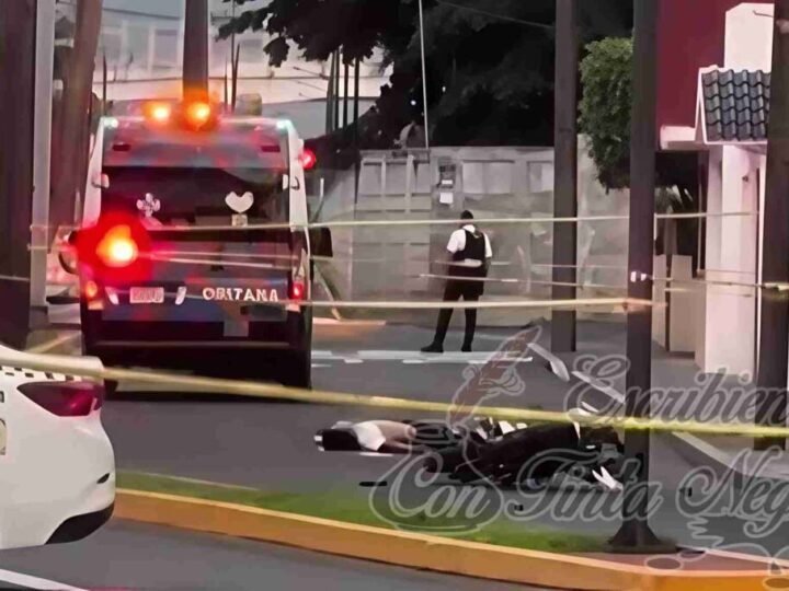 SE ESTRELLA MOTOCICLISTA CONTRA PALMERA Y MUERE