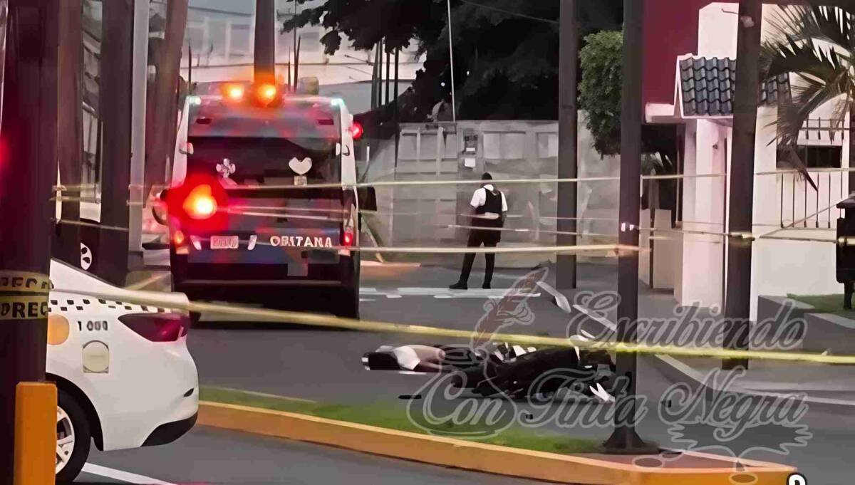 SE ESTRELLA MOTOCICLISTA CONTRA PALMERA Y MUERE