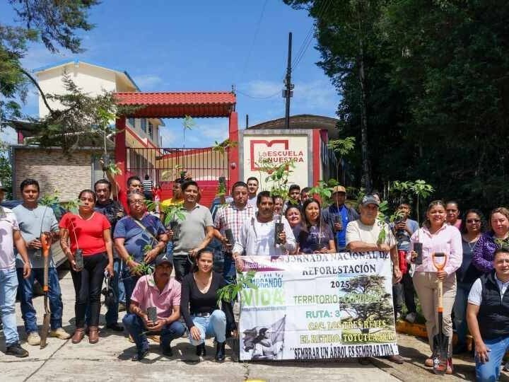 IMPLEMENTAN PLAN DE REFORESTACIÓN EN TOTUTLA