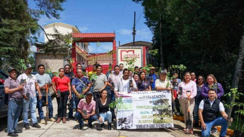 IMPLEMENTAN PLAN DE REFORESTACIÓN EN TOTUTLA