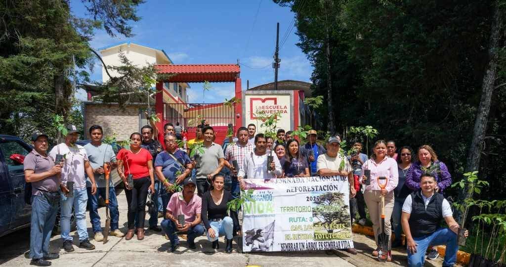IMPLEMENTAN PLAN DE REFORESTACIÓN EN TOTUTLA
