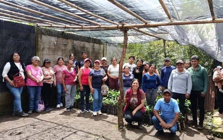IMPARTEN CURSO SOBRE INJERTOS DE CAFÉ EN CHOCAMÁN