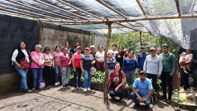 IMPARTEN CURSO SOBRE INJERTOS DE CAFÉ EN CHOCAMÁN
