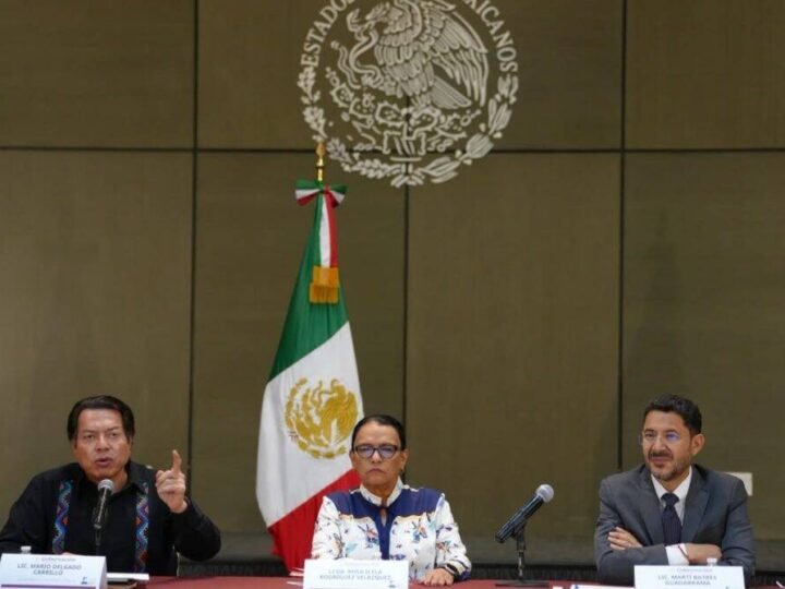 GOBIERNO FEDERAL PROPONE A LA CNTE CREAR UNA ASEGURADORA PÚBLICA
