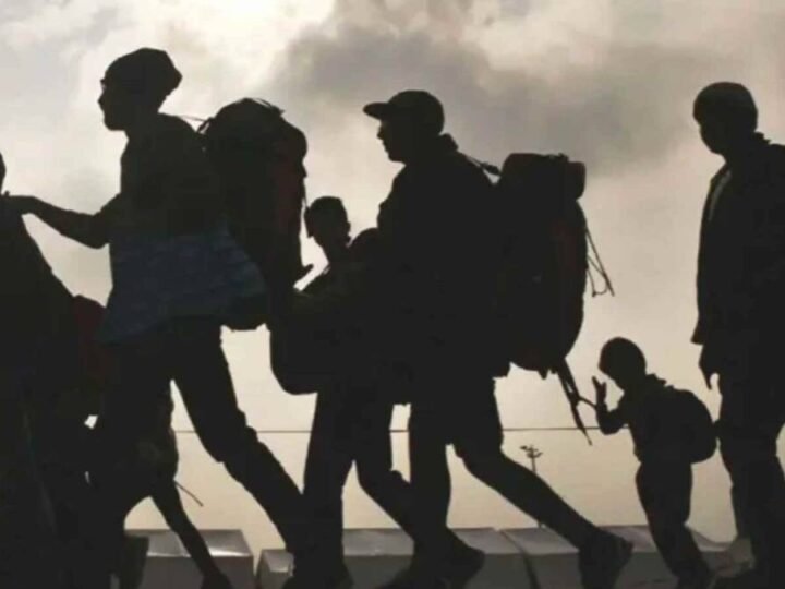 MÁS DE 70 MIL PERSONAS PIDIERON ASILO EN MÉXICO DURANTE 2025