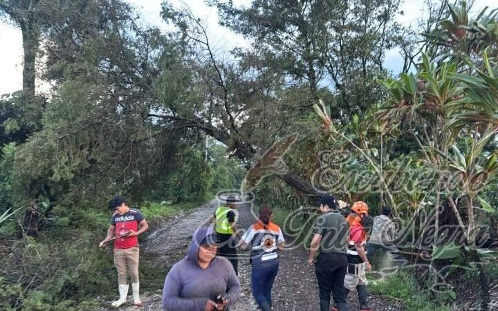 ÁRBOLES CAÍDOS, DESLAVES E INUNDACIONES DEJA A SU PASO TORMENTA EN ZONA DE COSCOMATEPEC