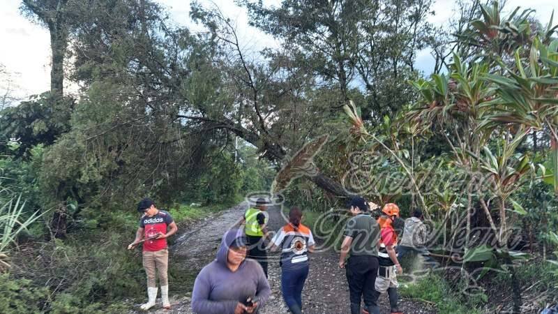ÁRBOLES CAÍDOS, DESLAVES E INUNDACIONES DEJA A SU PASO TORMENTA EN ZONA DE COSCOMATEPEC