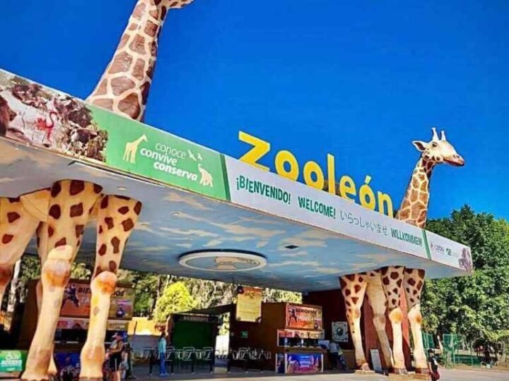 GUSANO BARRENADOR LLEGA A UN ZOOLÓGICO DE MÉXICO