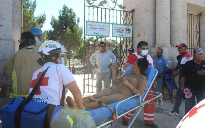 ABEJAS PROVOCAN CIERRE DE PANTEÓN EN PLENO DÍA DEL PADRE