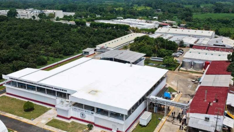 MÉXICO Y EU INAUGURAN PLANTA DE MOSCAS ESTÉRILES CONTRA EL GUSANO BARRENADOR