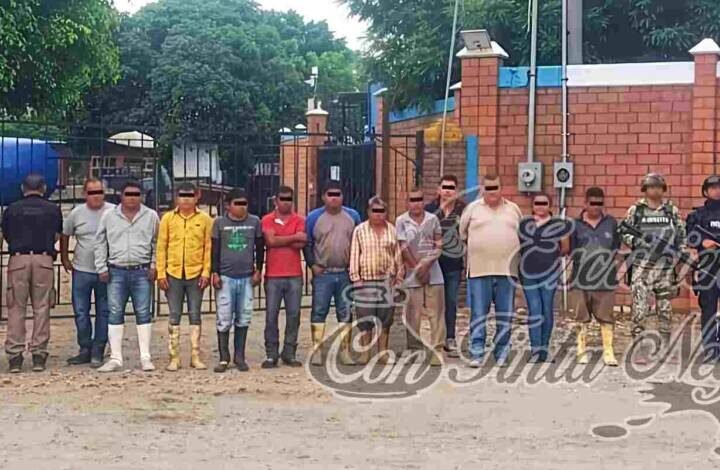 LIBERAN A DETENIDOS CON HUACHICOL