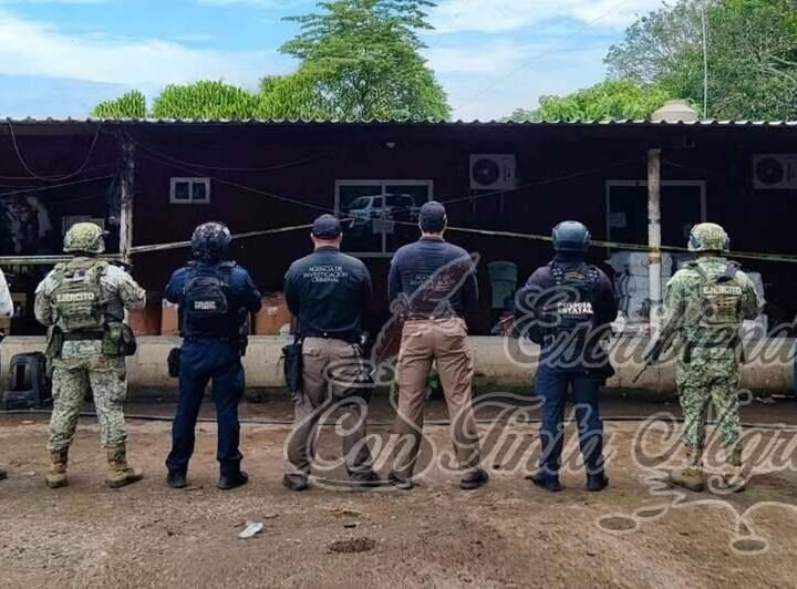 DECOMISAN MAS DE 100 ARMAS Y DROGA