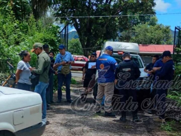 LE CAE RAMA A HOMBRE Y MUERE