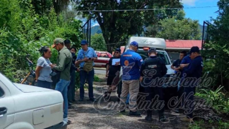 LE CAE RAMA A HOMBRE Y MUERE