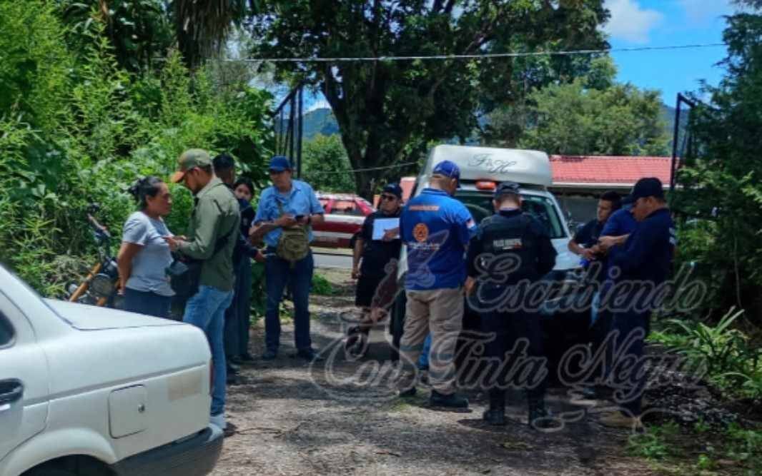 LE CAE RAMA A HOMBRE Y MUERE