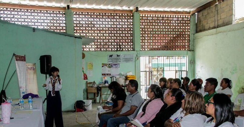 CAPACITAN A COMITÉS EN PREVENCIÓN DE LA VIOLENCIA