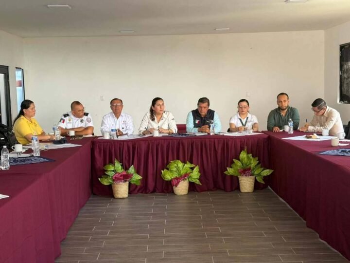 DEFINEN ESTRATEGIAS DE SEGURIDAD PARA ZENTLA Y LA REGIÓN