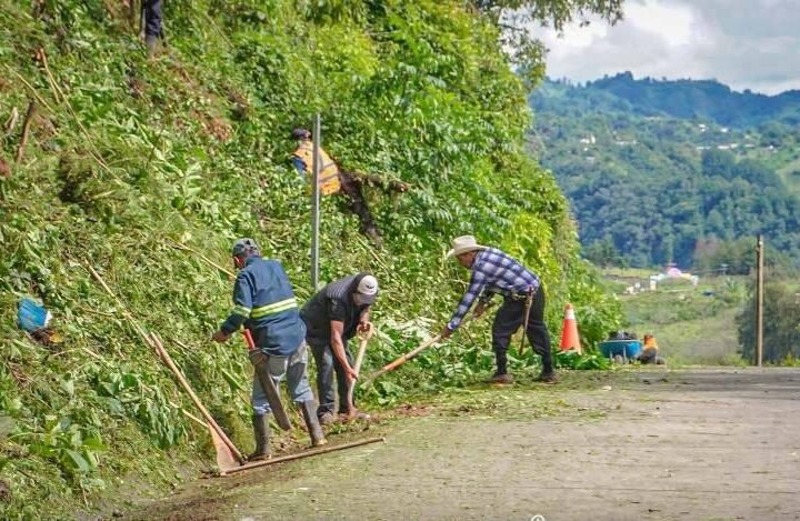 REALIZAN LIMPIEZA DE CAMINO A CALCAHUALCO