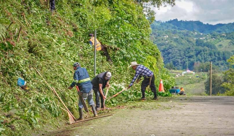 REALIZAN LIMPIEZA DE CAMINO A CALCAHUALCO