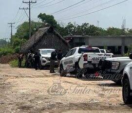 ASEGURAN HUACHICOL EN EL SUR DEL ESTADO