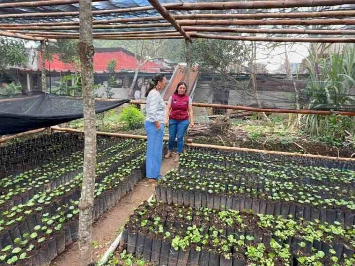 FORTALECE ALCALDESA DE CHOCAMÁN TRABAJO CON ESCUELAS DEL CAMPO