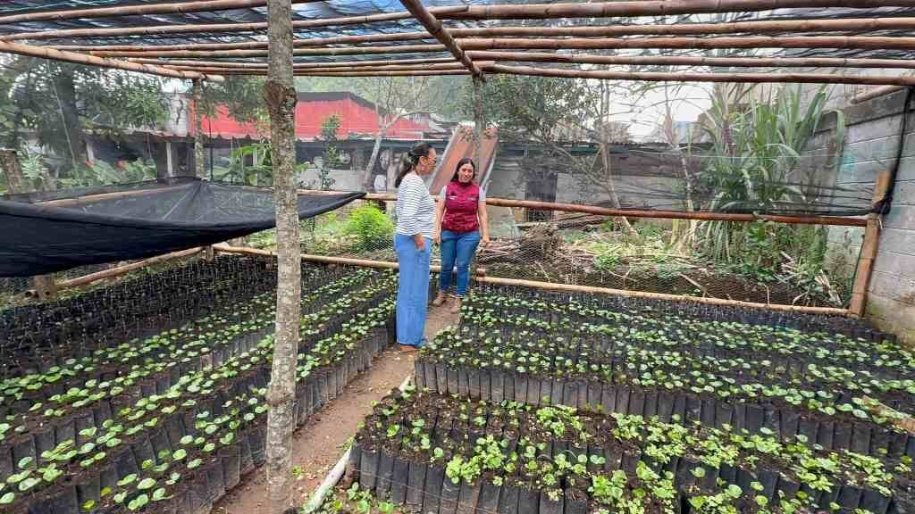 FORTALECE ALCALDESA DE CHOCAMÁN TRABAJO CON ESCUELAS DEL CAMPO