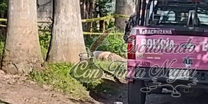ENCUENTRAN SIN VIDA A SENECTO