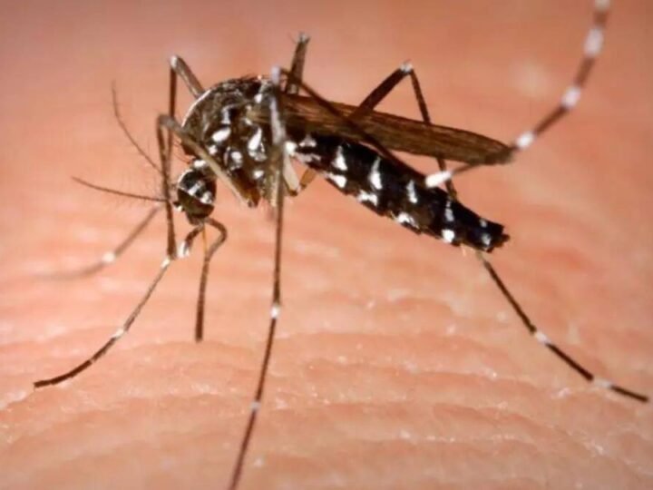 DETECTAN UN CASO DE MALARIA EN JALISCO