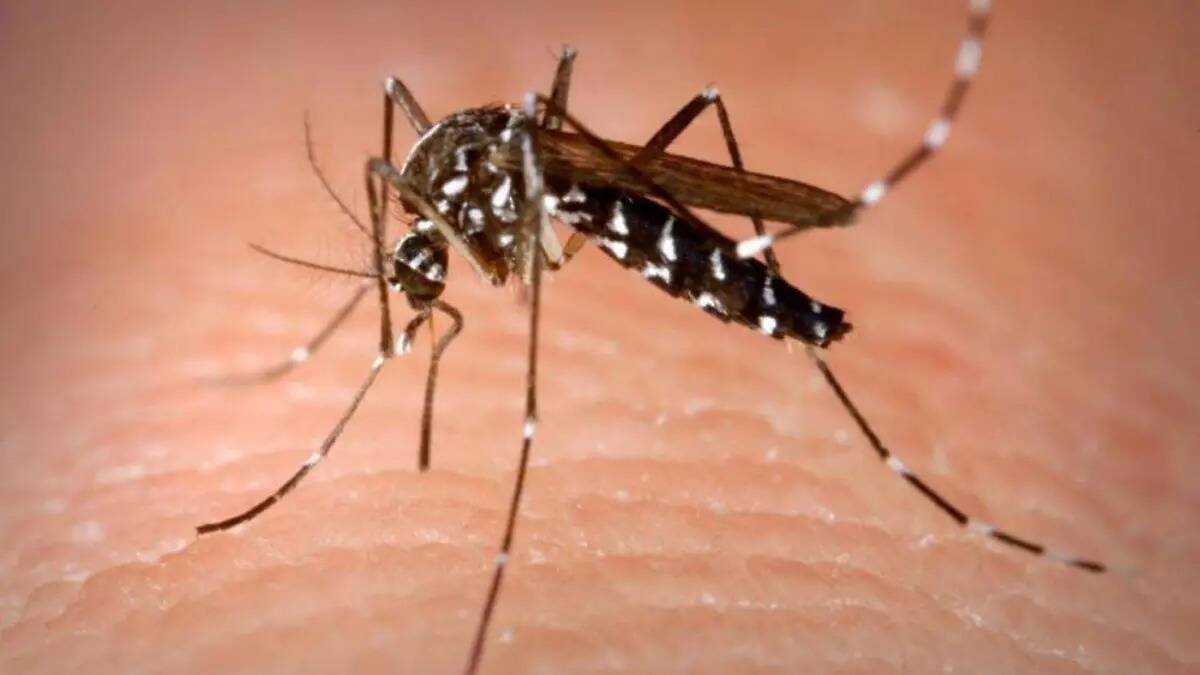 DETECTAN UN CASO DE MALARIA EN JALISCO
