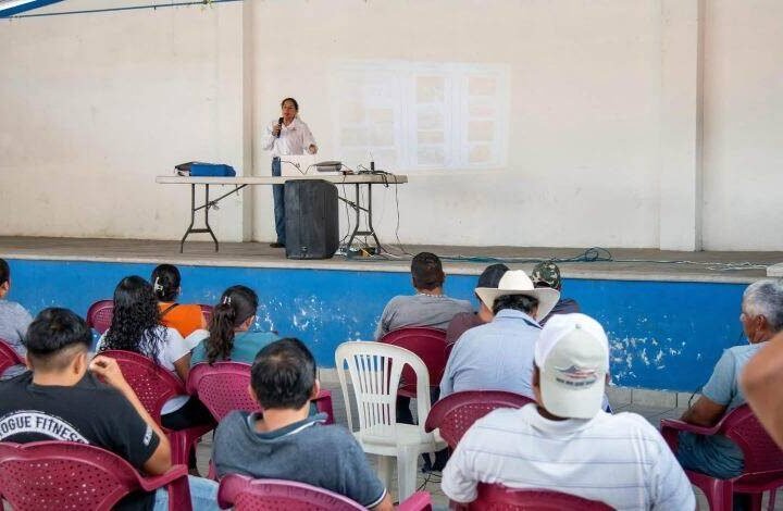 IMPULSA AYUNTAMIENTO DE CÓRDOBA LA CAPACITACIÓN DEL SECTOR PORCÍCOLA