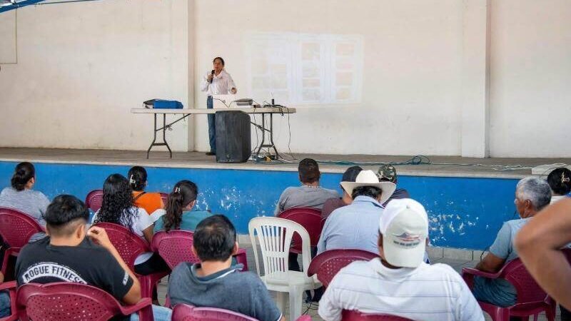 IMPULSA AYUNTAMIENTO DE CÓRDOBA LA CAPACITACIÓN DEL SECTOR PORCÍCOLA
