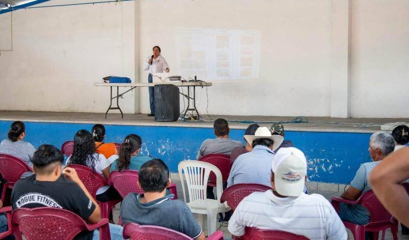 IMPULSA AYUNTAMIENTO DE CÓRDOBA LA CAPACITACIÓN DEL SECTOR PORCÍCOLA