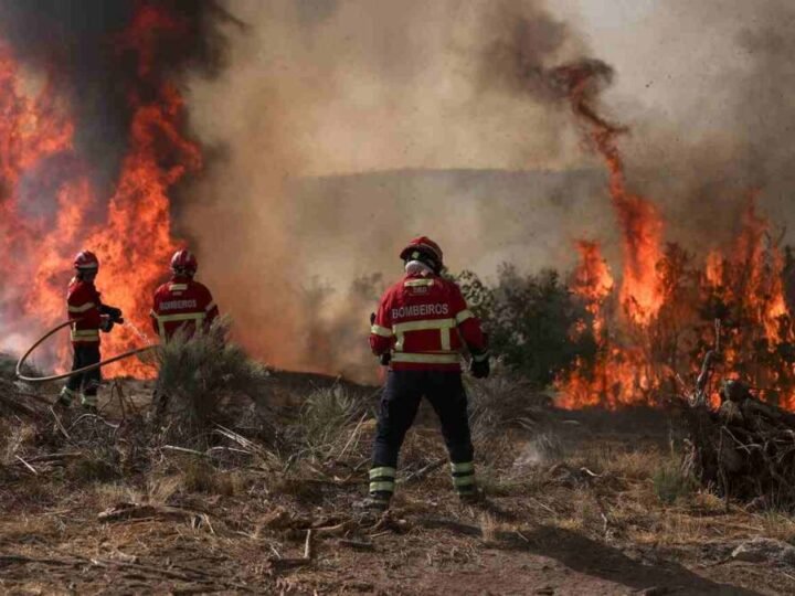 INCENDIOS FORESTALES CONSUMEN MÁS DE 17 MIL HECTÁREAS EN EUROPA