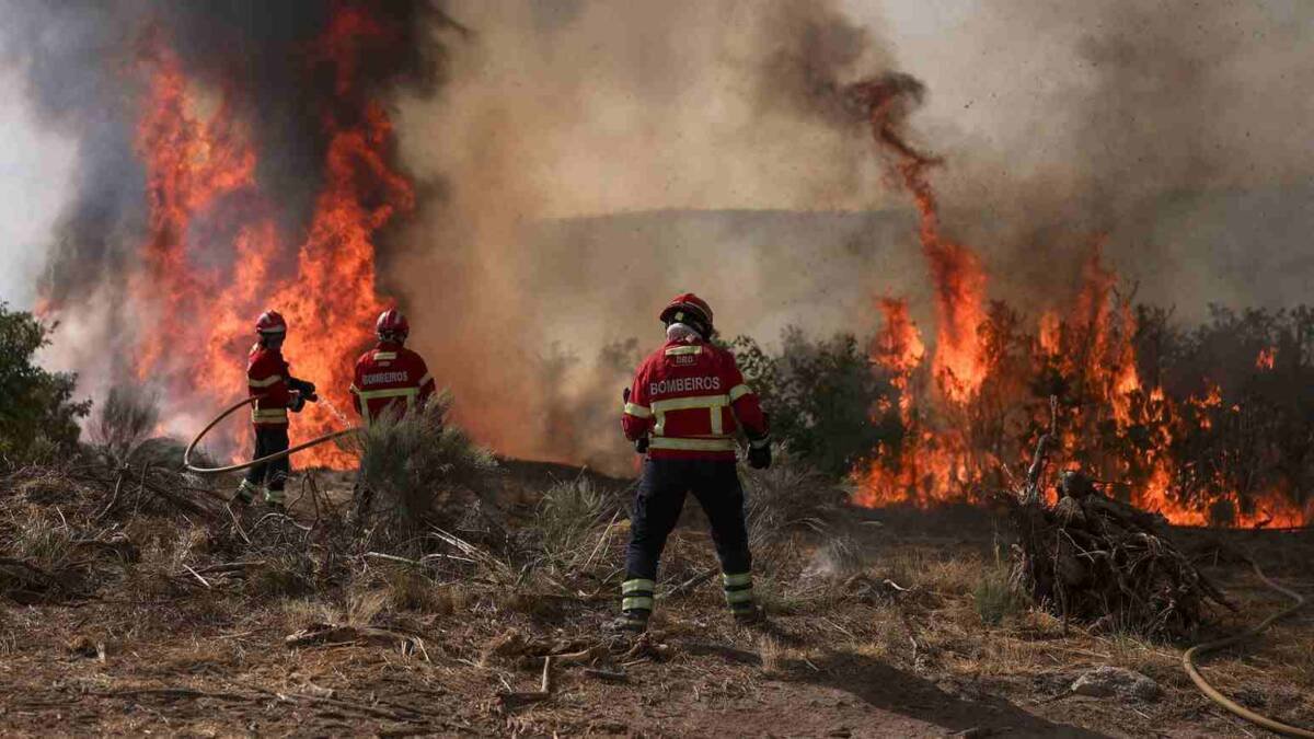 INCENDIOS FORESTALES CONSUMEN MÁS DE 17 MIL HECTÁREAS EN EUROPA